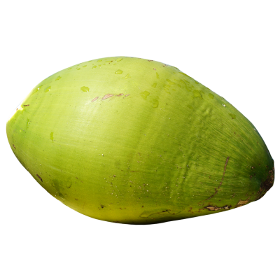 Zoom Image