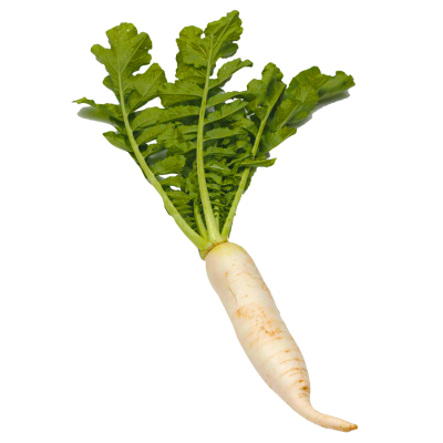 Zoom Image
