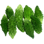 Zoom Image