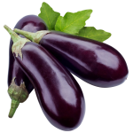 Zoom Image