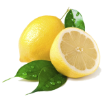 Zoom Image