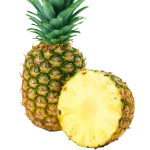 Zoom Image
