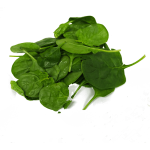 Zoom Image