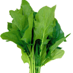Zoom Image